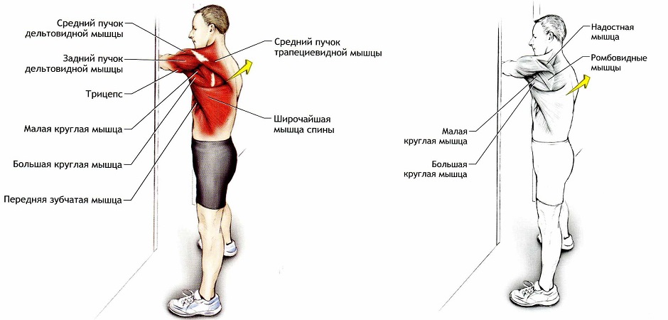 Что делать при болях в плечах во время тренировок: 3 простых упражнения на мобильность